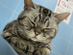 -北京博爱动物医院有限公司