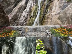 -洛阳白云山景区