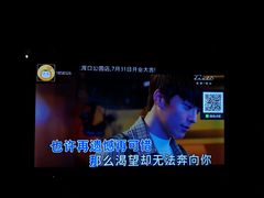 -欢乐迪KTV(南坪上海城店)