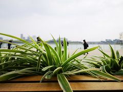 -星巴克(成都科学城店)