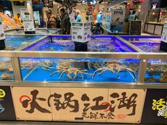 水产区-盒马鲜生(龙德广场店)