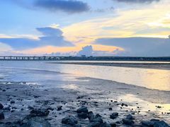 -宝安西湾红树林湿地公园