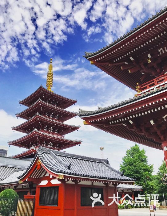 难以想象魔都41度上传的图片