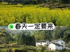 -石台牯牛降景区