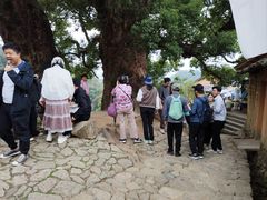 -杨家堂村