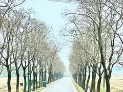 -嘉北郊野公园