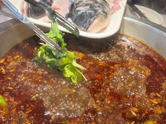 -蜀滋香鲜鱼美蛙火锅(339店)