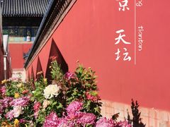 -天坛公园