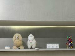 -the balancing(东方店)