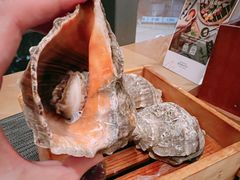 -深圳湾万怡酒店