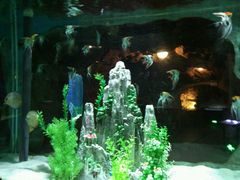 -洛阳龙门海洋馆