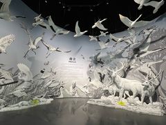 -中国湿地博物馆