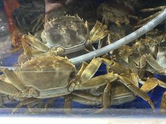 -蟹都汇(龙舟店)