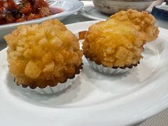 -丁老爷子苏香圆