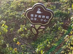 -绥芬河国门景区
