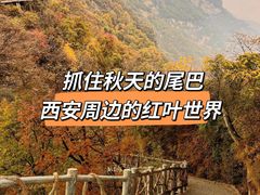 -少华山国家森林公园