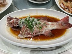 -大东海海鲜酒楼(渔人码头总店)