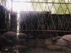 -咸宁万豪温泉谷度假区