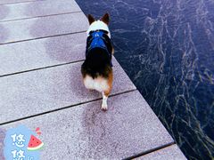 -上海月湖雕塑公园