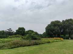 -九里河湿地公园