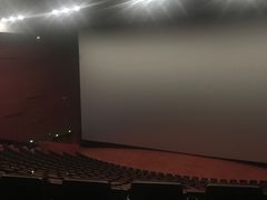 VIP厅-悦江新远影城IMAX