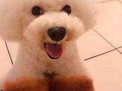 -宠颐生动物医院·心脏科·保险定点(锦阳分院)