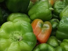 -物美超市(通州梨园店)