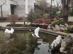 -广富林宰相府酒店·水云间