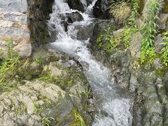 -鹿亭中村
