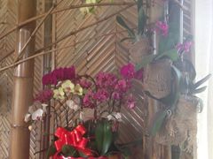 -武清南湖绿博园