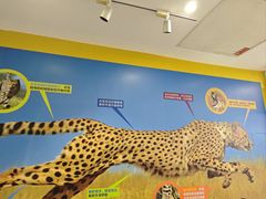 -新华书店(学府大道店)