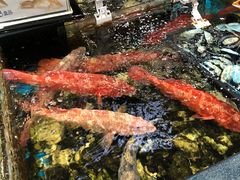 -盒马鲜生(皇庭广场店)