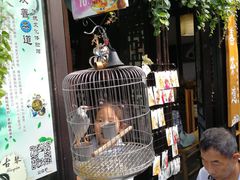 -张家港凤凰山景区恬庄古街