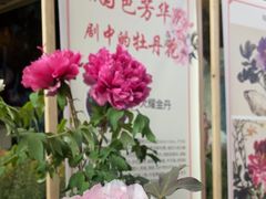 -花之城