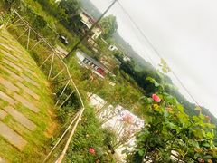 -玫瑰庄园·自助烧烤·烤全羊·团建拓展(龙泉山店)