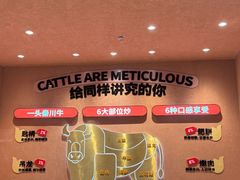 -辣可可·小炒黄牛肉(望京凯德MALL店)