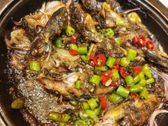 -九福楼大酒店