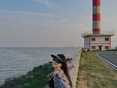 -合肥滨湖国家森林公园