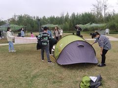 -上海长兴岛郊野公园