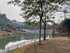 -王借岗森林公园