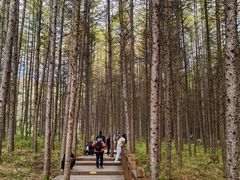 -光雾山旅游景区