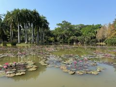 -中国科学院西双版纳热带植物园