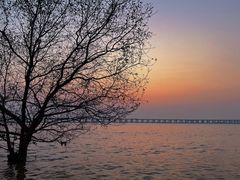 -宝安西湾红树林湿地公园
