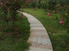 -燕郊植物园