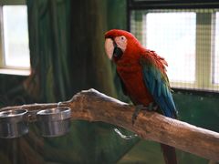 -海合安武汉极地海洋公园