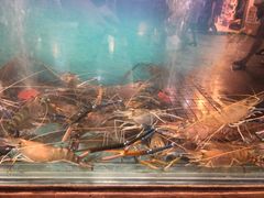 -The Dishes Seafood & Restaurant