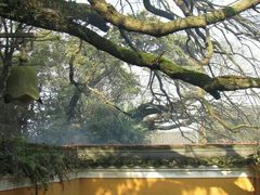 -普陀山慧济禅寺