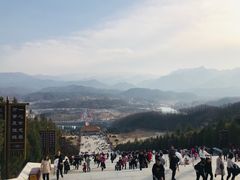 -中原大佛景区