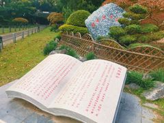 -中山公园