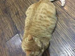 -盛天毛血旺非遗美食(观音桥店)